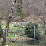 Harz-urlaub-altenau - Hunde Willkommen 公寓 阿尔特瑙