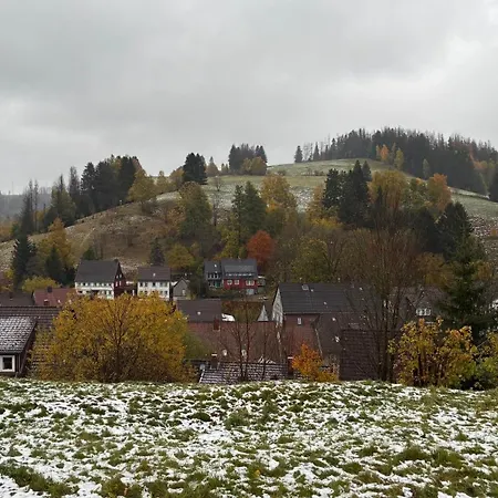Harz-urlaub-altenau - Hunde Willkommen Lejlighed *