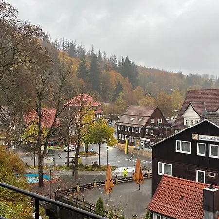 Harz-urlaub-altenau - Hunde Willkommen Lejlighed