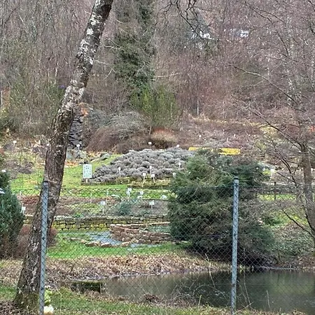 Harz-urlaub-altenau - Hunde Willkommen Lejlighed Altenau (Lower-Saxony)