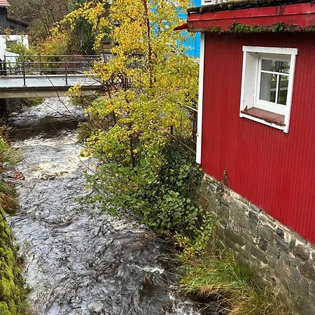 Lejlighed Harz-urlaub-altenau - Hunde Willkommen Altenau (Lower-Saxony)