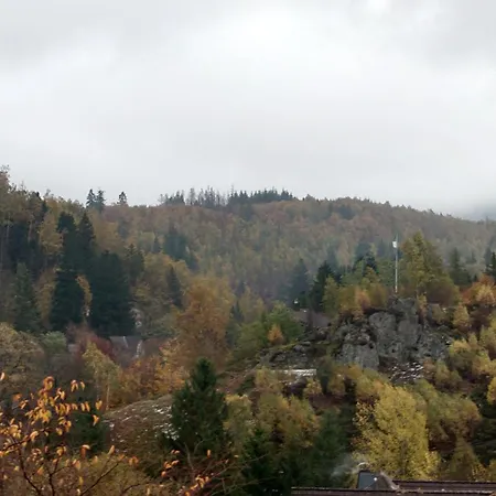 Harz-urlaub-altenau - Hunde Willkommen Apartment *