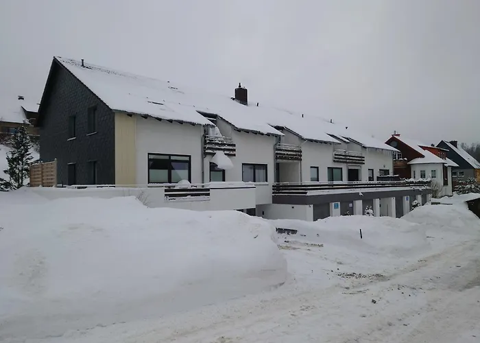 Harz-urlaub-altenau - Hunde Willkommen Apartamento