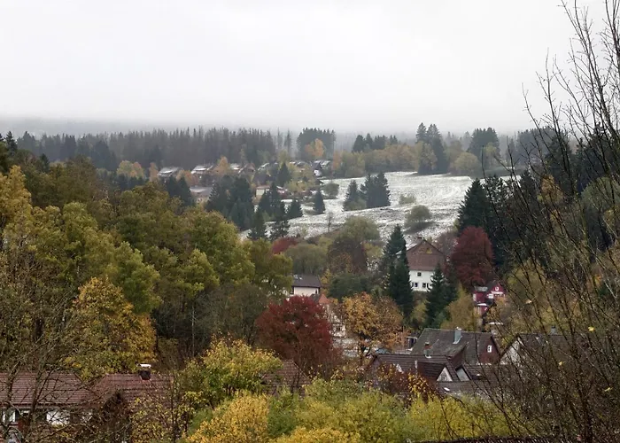 Harz-urlaub-altenau - Hunde Willkommen