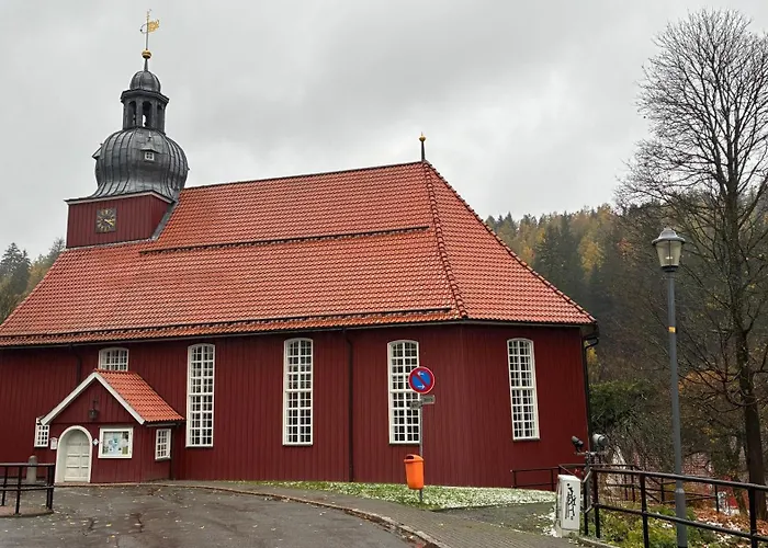 Harz-urlaub-altenau - Hunde Willkommen Altenau (Lower-Saxony)