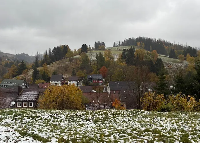 Harz-urlaub-altenau - Hunde Willkommen Apartment *