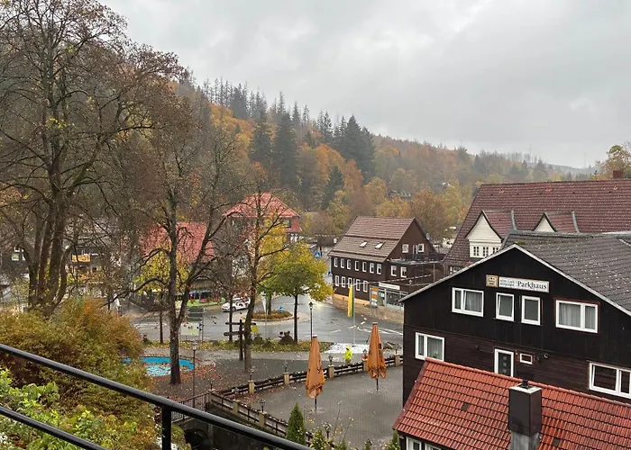 Harz-urlaub-altenau - Hunde Willkommen Apartamento