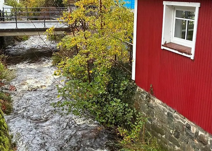 Apartamento Harz-urlaub-altenau - Hunde Willkommen Altenau (Lower-Saxony)
