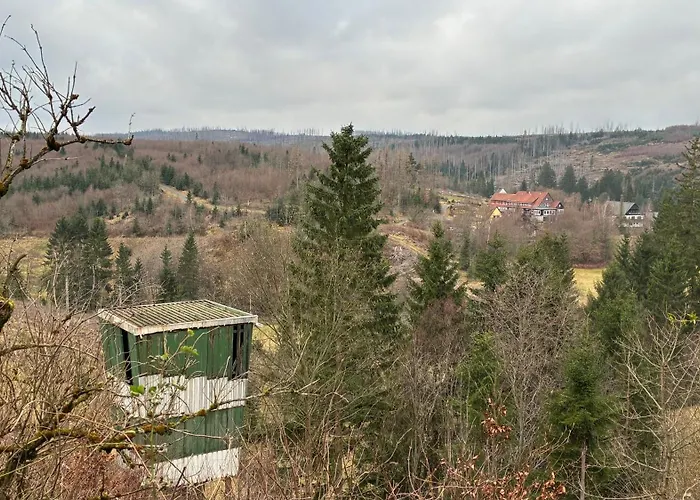 Apartamento Harz-urlaub-altenau - Hunde Willkommen Altenau (Lower-Saxony)