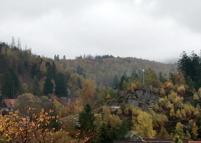 Harz-urlaub-altenau - Hunde Willkommen Apartamento *