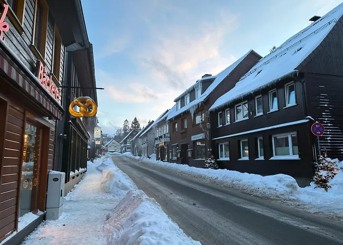 Harz-urlaub-altenau - Hunde Willkommen *